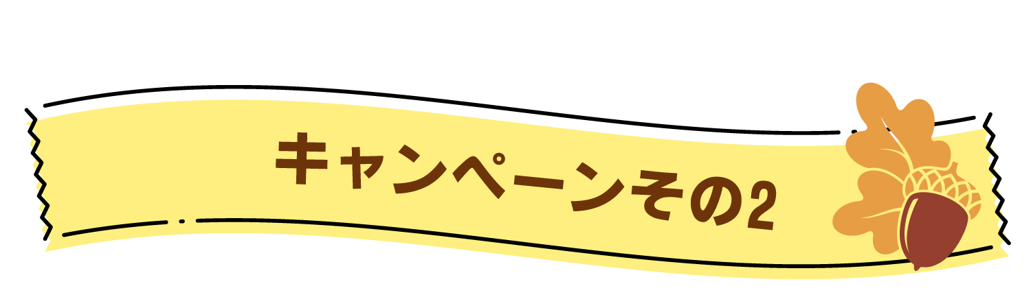 キャンペーン2