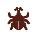 106.カブトムシ 106.カブトムシ