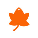 37.メイプル 37.メイプル