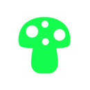 50.きのこ 50.きのこ