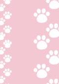 B09