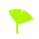 134.イチョウ
