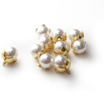 コットンパール コットンパール